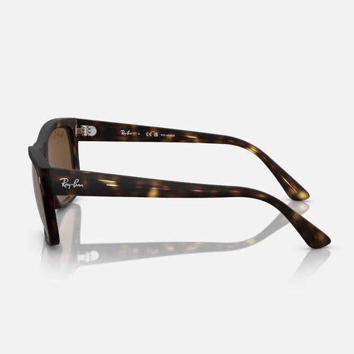 Ray-Ban RB4428 Sunglasses ACCESSORIES - Additional Accessories - Sunglasses Ray-Ban