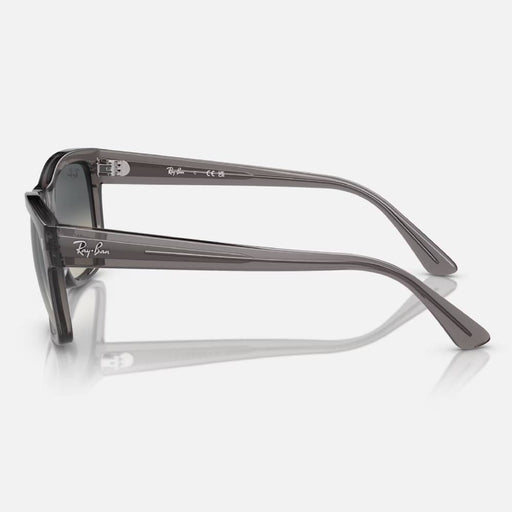 Ray-Ban RB4428 Sunglasses ACCESSORIES - Additional Accessories - Sunglasses Ray-Ban