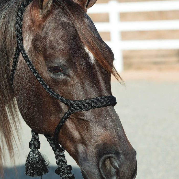 Professional's Choice Cowboy Braided Halter with Lead Tack - Halters & Leads Professional's Choice Black