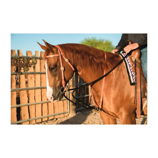 Professional's Choice AD Draw Rope Martingale Tack - Training Professional's Choice