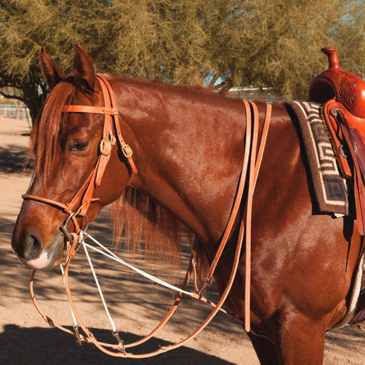 Professional's Choice AD German Martingale Tack - Training Professional's Choice