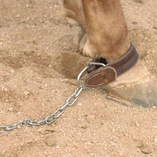 Professional's Choice AD Kicking Chain Tack - Training Professional's Choice