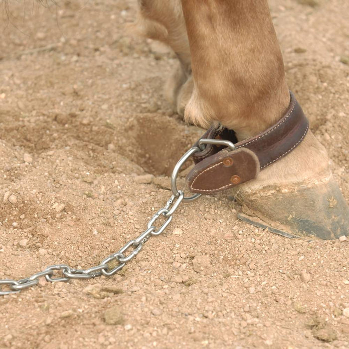 Professional's Choice AD Kicking Chain Tack - Training Professional's Choice