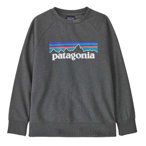 Patagonia Kid's Lightweight Crew Sweatshirt KIDS - Boys - Clothing - Sweatshirts & Hoodies Patagonia