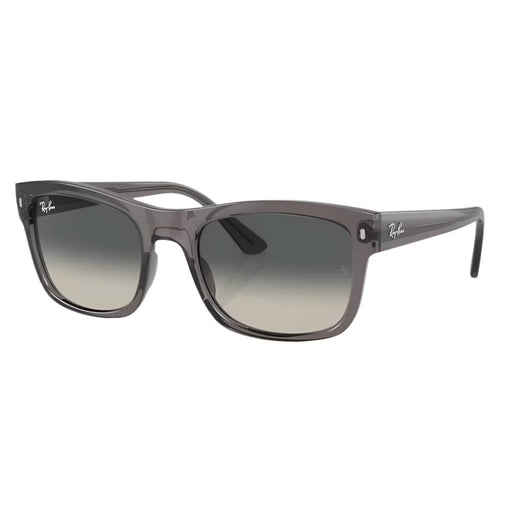 Ray-Ban RB4428 Sunglasses ACCESSORIES - Additional Accessories - Sunglasses Ray-Ban