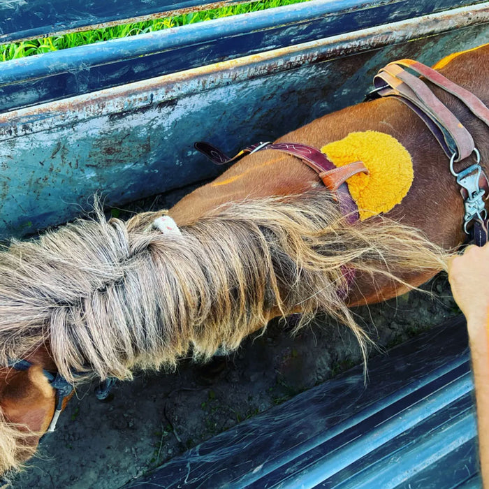Bail Ranch Youth Riggin Tack - Roughstock Bail Ranch