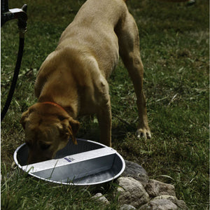 13 Quart Galvanized Ever Full Pet Bowl Pets - Feeding & Watering Pet Lodge   