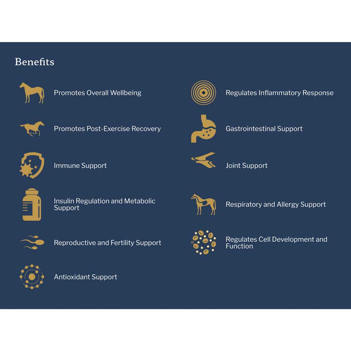 Equine Omega Complete Equine - Supplements Equine