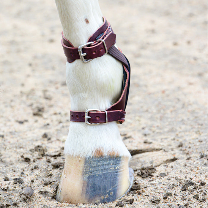 Professional's Choice Leather Skid Boots Tack - Leg Protection Professional's Choice