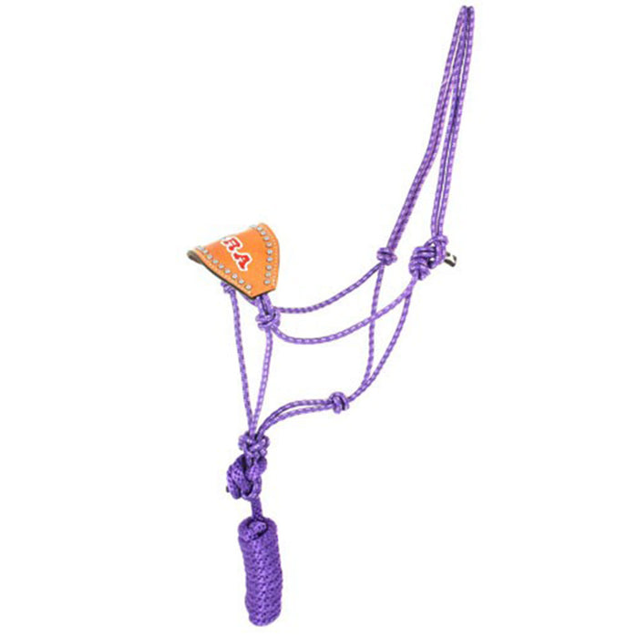 Trophy Bronc Nose Rope Halter with Dots #4 Customs & Awards - Halters Custom