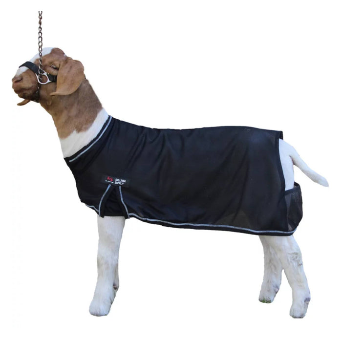 Sullivan's Cool Tech Goat Blanket Livestock - Blankets & Sheets Sullivan's Supply Black Small