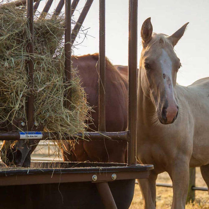 Priefert Pasture Horse Feeder (In-Store Only) Barn - Feed Bags & Feeders Priefert