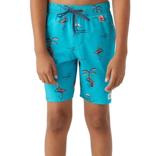 O'Neill Boy's Hermosa Crew Boardshorts - 16" KIDS - Boys - Clothing - Surf & Swimwear O'Neill