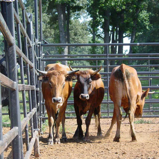 Priefert Premier Panel (In-Store Only) Equipment - Panels/Gates Priefert