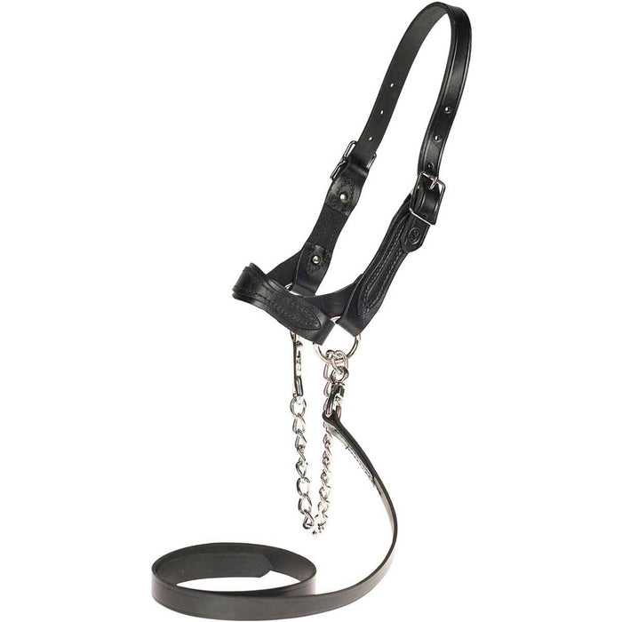 Sullivan's Scalloped Show Halter Livestock - Show Supplies Sullivan's Supply