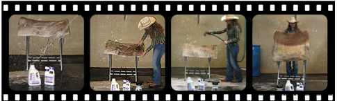 EQ Solutions All Surface Wash Barn - Care & Cleaning EQ Solutions