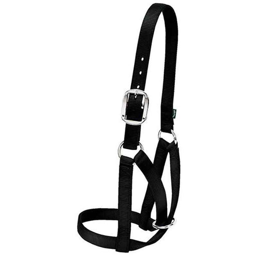 Weaver Barn Small Cow Halter Livestock - Show Supplies Weaver Black