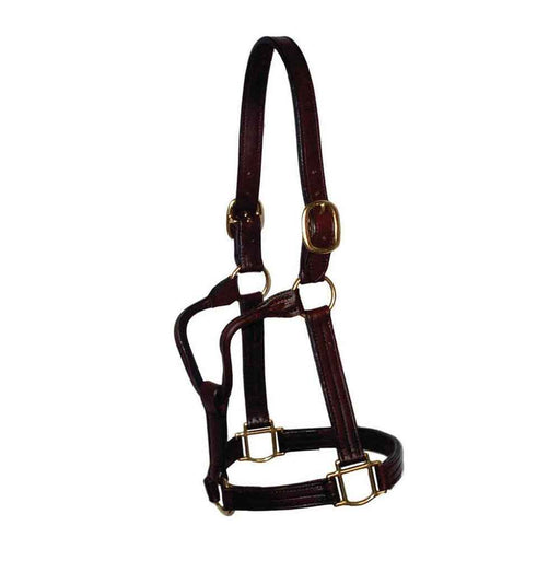 Teskey's Triple Stitched Halter Tack - Halters & Leads Teskey's Yearling