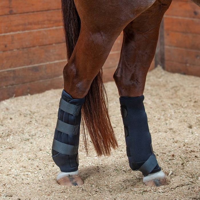 Classic Equine Ice Boots Tack - Leg Protection Classic Equine Boots S