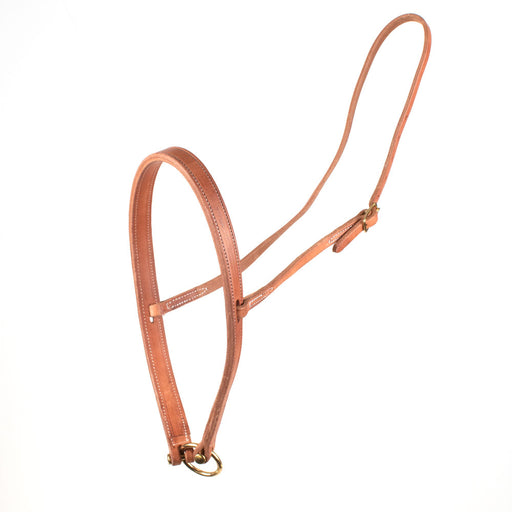 Teskey's Flat Noseband Tack - Nosebands & Tie Downs Teskey's Light Oil