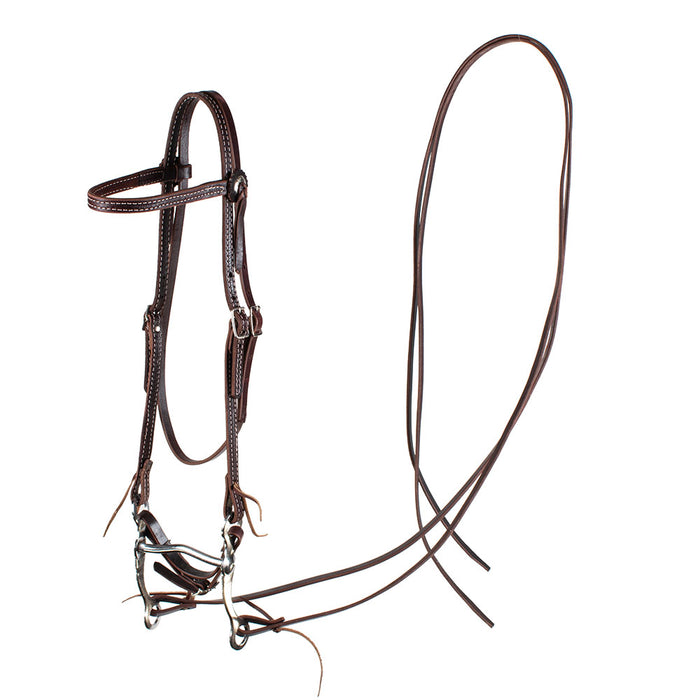 Teskey's Grazing Bit Bridle Rig Tack - Rigs Teskey's Latigo