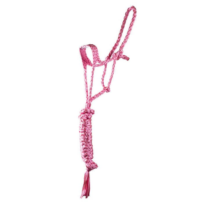 Teskey's Pony Mule Tape Halter with Lead Tack - Halters & Leads Teskey's Pink