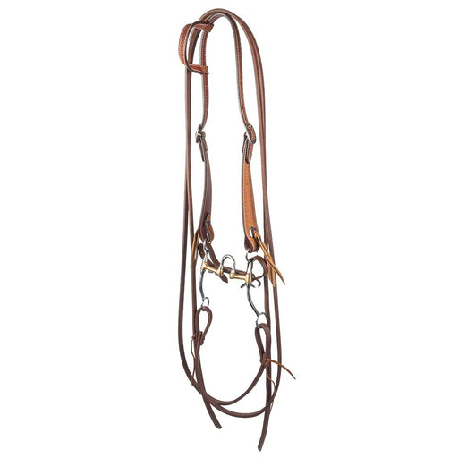 Teskey's Correction Bit Bridle Rig Tack - Rigs Teskey's