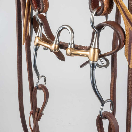 Teskey's Correction Bit Bridle Rig Tack - Rigs Teskey's