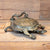 Western Decor - Vintage Bronze Turtle Spitoon _C241 Collectibles MISC   