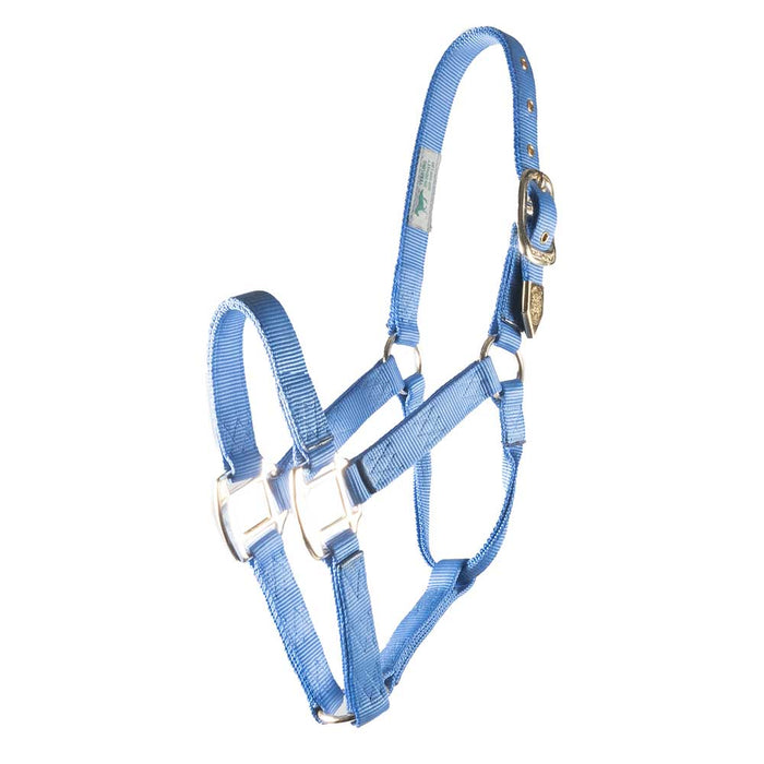 Hamilton 1" Deluxe Nylon Halter - Horse Sizes Tack - Halters & Leads Hamilton Berry Blue Foal