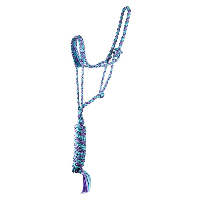 Teskey's Mule Tape Halter with Lead Tack - Halters & Leads Teskey's Turquoise/Purple