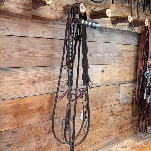 Vintage Bridle Rig Collectibles MISC