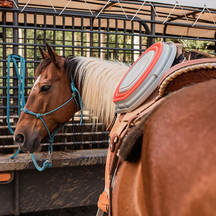Boss Equine Collapsible Water Bucket for Horses Barn - Buckets & Hangers Boss Equine Products