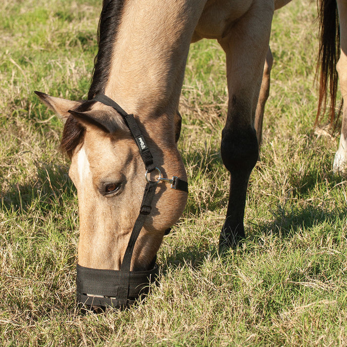 Cashel Grazing Muzzle Halter Tack - Halters & Leads Cashel