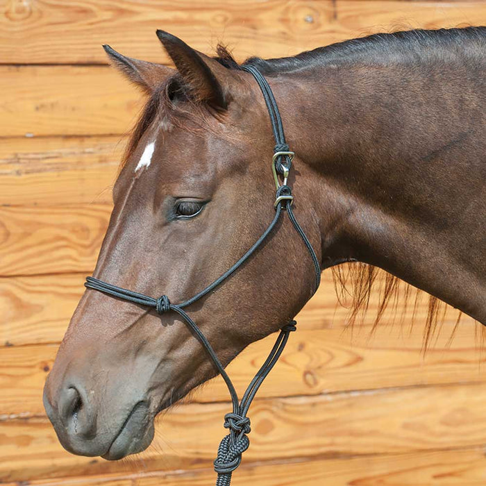 Classic Equine Quick Change Halter with Lead Tack - Halters & Leads Classic Equine