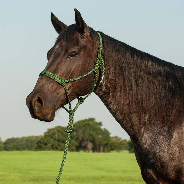 Cashel Flat Braid Halter with Lead Tack - Halters & Leads Cashel Green