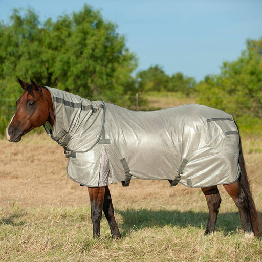 Cashel Econo Fly Sheet With Neck Guard Equine - Fly & Insect Control Cashel