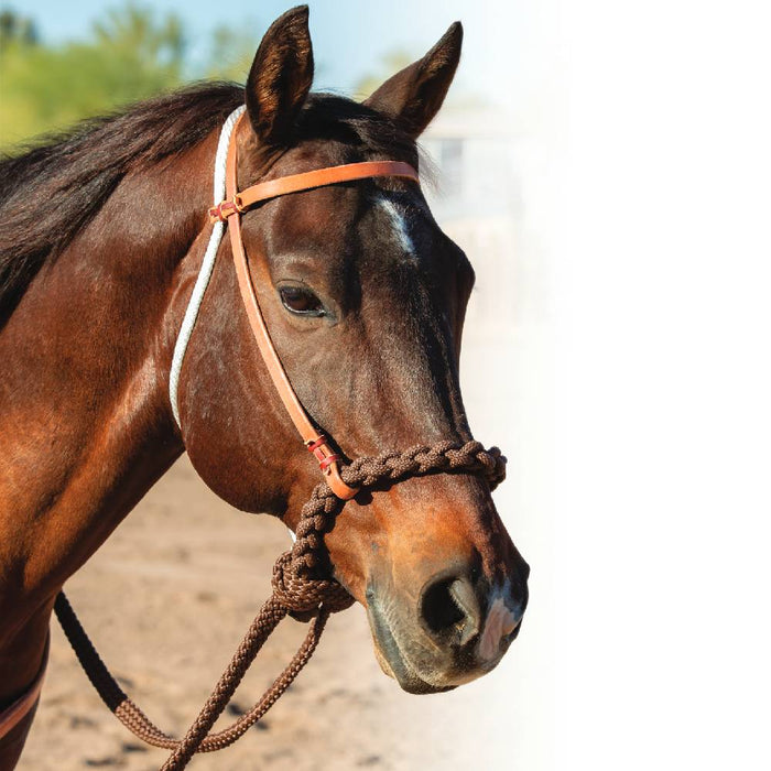 Professional's Choice Loping Hackamore Tack - Training Professional's Choice
