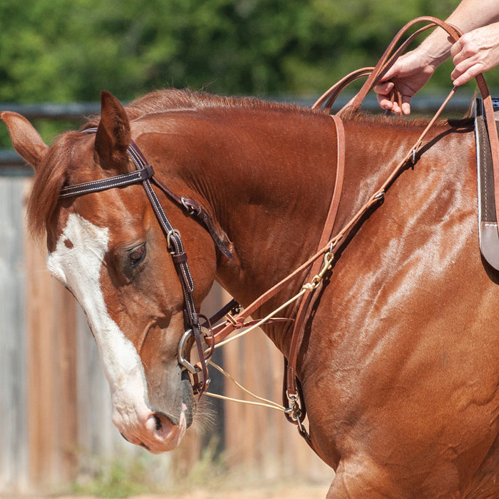 Martin Saddlery Phil Haugen Martingale Tack - Training Martin Saddlery Default Title