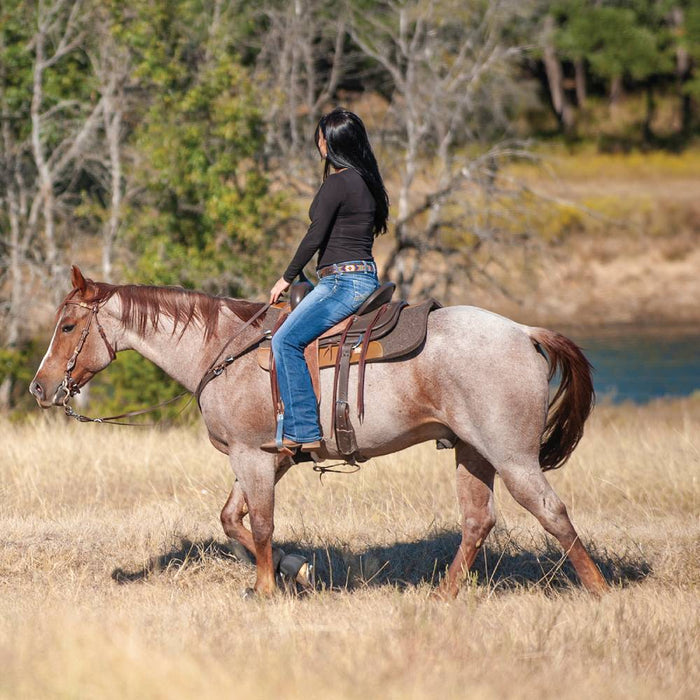 Cashel Felt Pad Tack - Saddle Pads Cashel