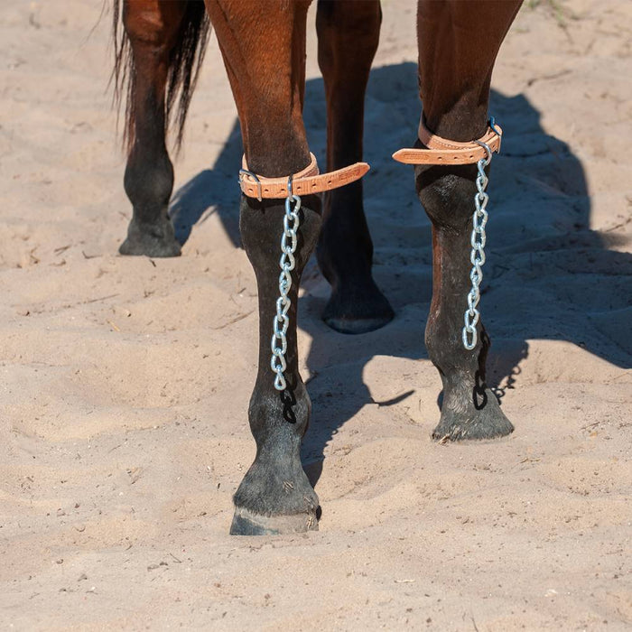 Martin Saddlery Pawing Chains Tack - Training Martin Saddlery
