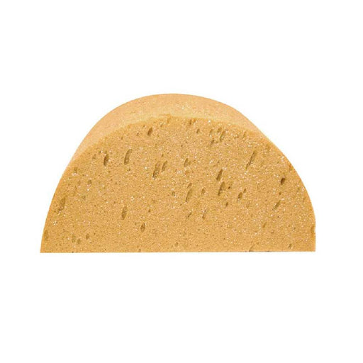 Partrade Half Moon Sponge Equine - Grooming Partrade