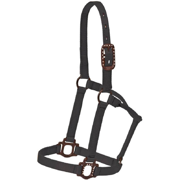 Antique Dot Halter Tack - Halters & Leads Mustang Black