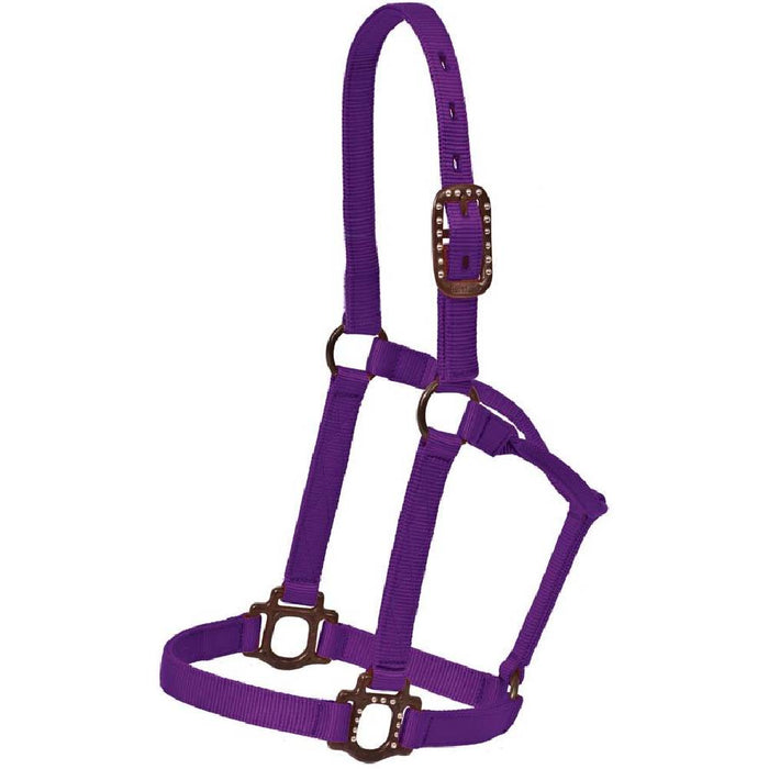 Antique Dot Halter Tack - Halters & Leads Mustang Purple