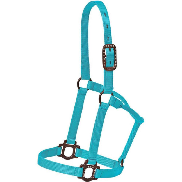 Antique Dot Halter Tack - Halters & Leads Mustang Aqua