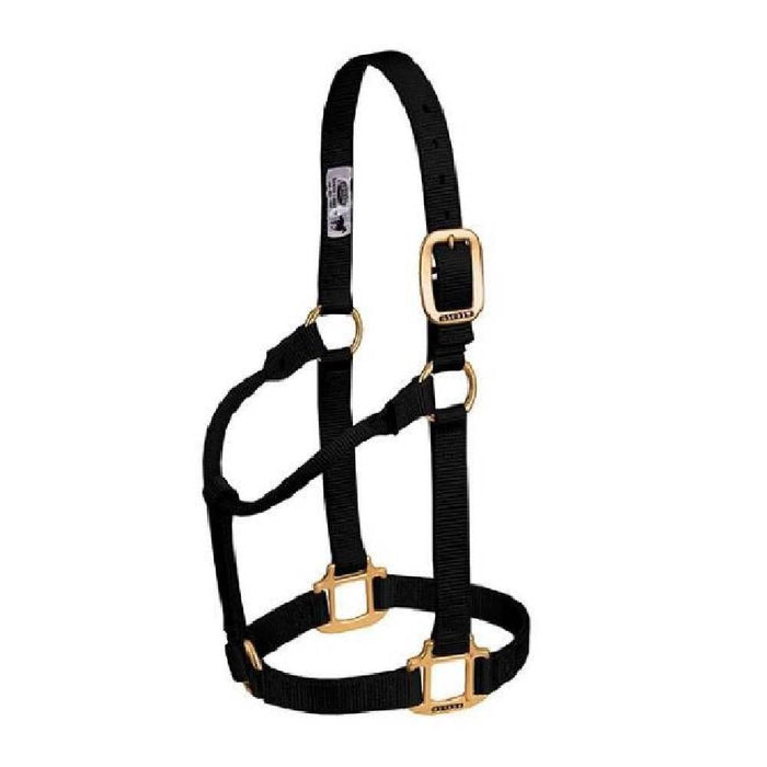 Weaver 1" Nylon Halter Tack - Halters & Leads Weaver Black Cob/Small Horse