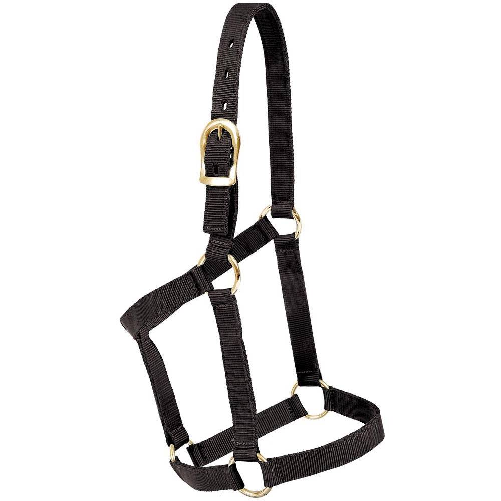 Formay 1" Nylon Halter Tack - Halters & Leads - Halters Formay   