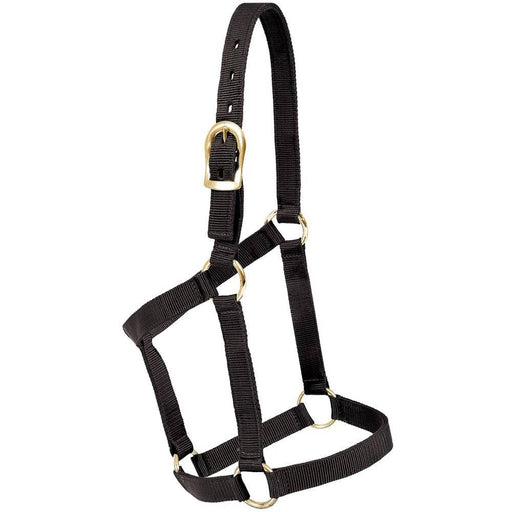 Formay 1" Nylon Halter Tack - Halters & Leads Formay