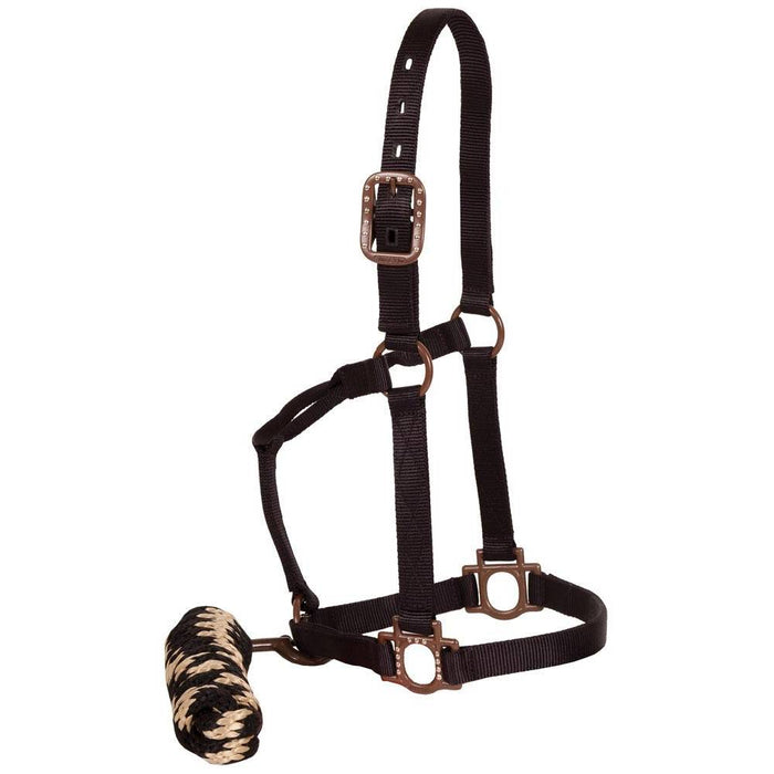 Antique Dot Halter with Lead Tack - Halters & Leads Mustang Black