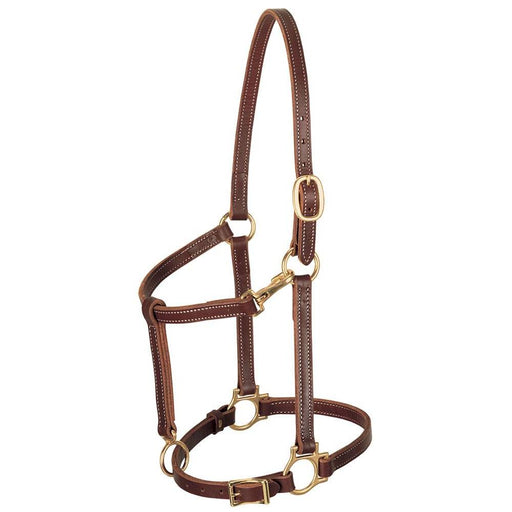 Weaver 3/4" Track Halters Tack - Halters & Leads Weaver